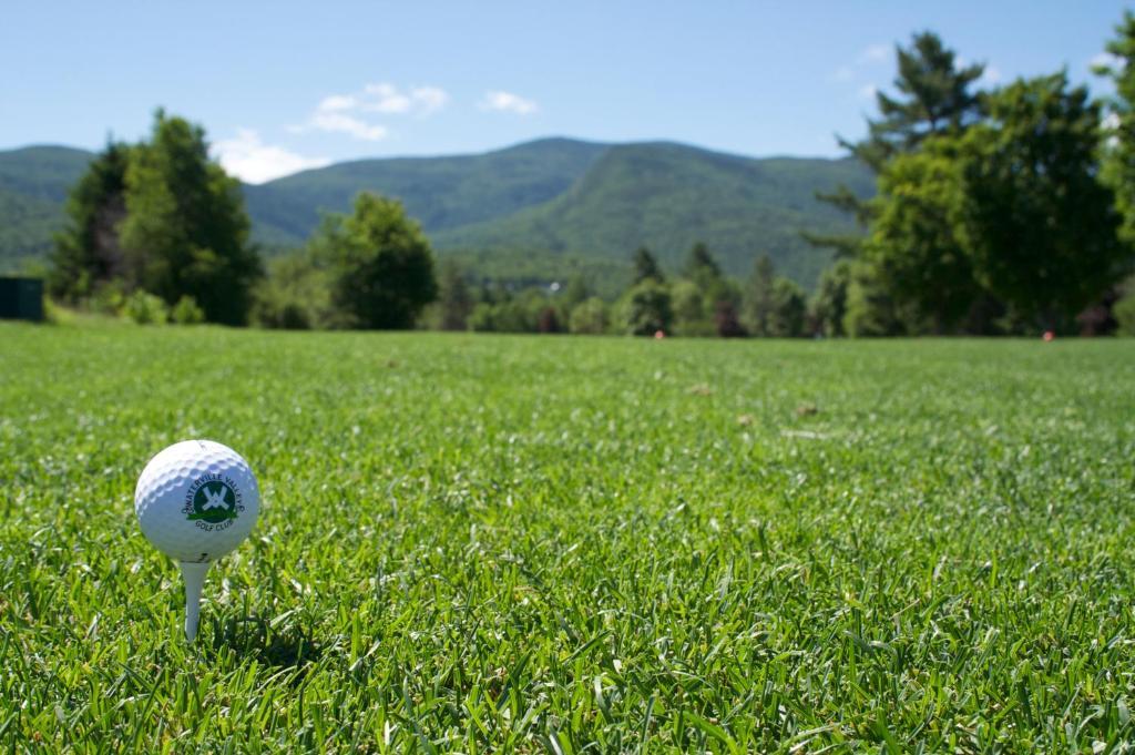 Black Bear Lodge Waterville Valley Kültér fotó