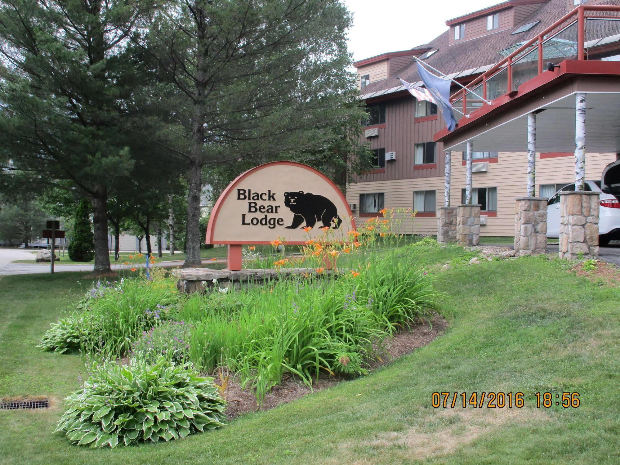 Black Bear Lodge Waterville Valley Kültér fotó